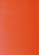 Облицовачная плитка Стиль оранжевый 250x350